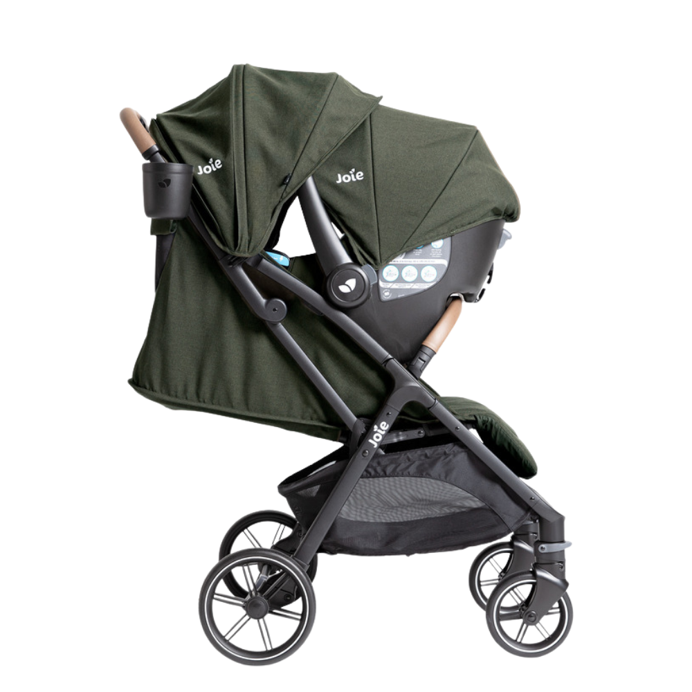 Joie Nutmeg™ and Rue™ Lightweight Stroller and Car Seat Travel System - Forest