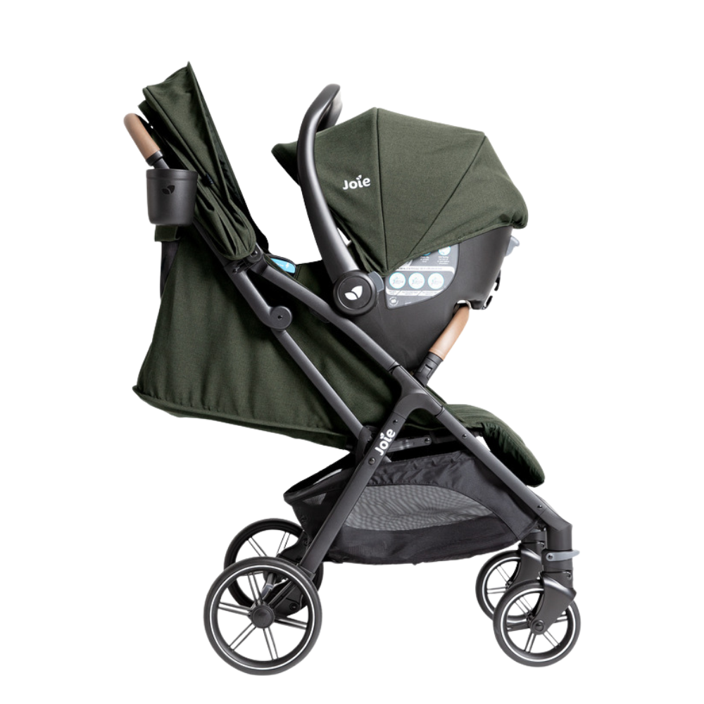Joie Nutmeg™ and Rue™ Lightweight Stroller and Car Seat Travel System - Forest